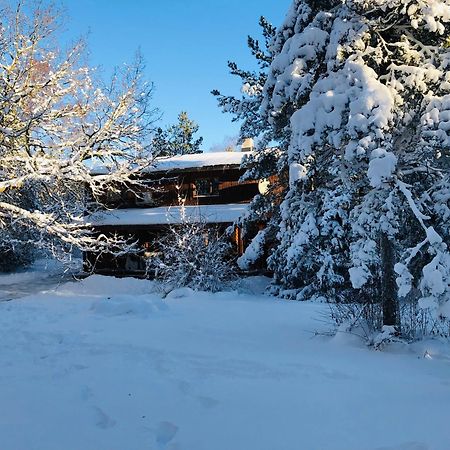 Kibuvitsa Holiday House Muratsi Buitenkant foto